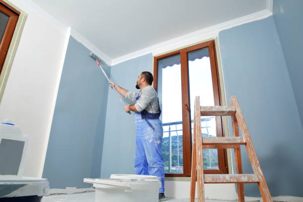 Best Residential Painting  in , OK